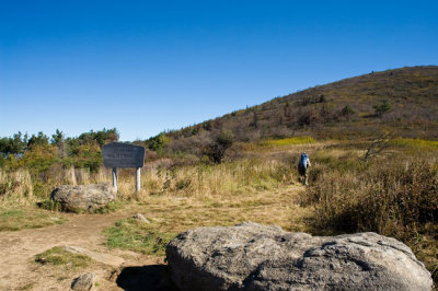 Ivestor Gap Trail 5