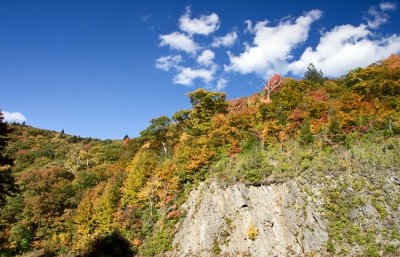 Blue Ridge Parkway Fall Color 2