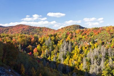 Blue Ridge Parkway Fall Color 5