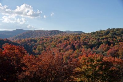 Blue Ridge Parkway Fall Color 7