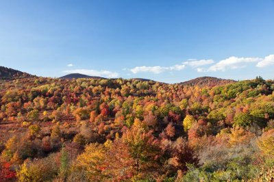 Blue Ridge Parkway Fall Color 8