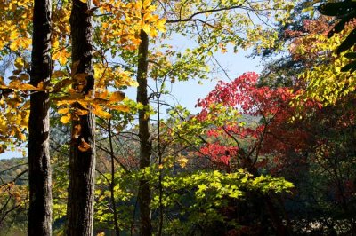 Lake Powhatan 3