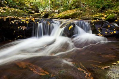 Piney Mountain Creek 1