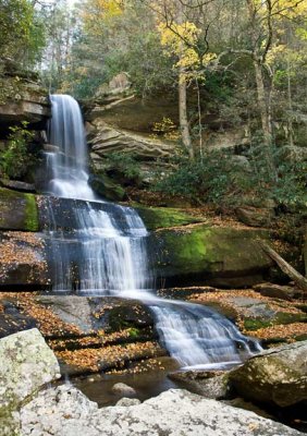 Maidenhair Falls 2