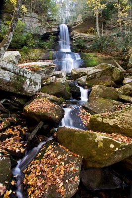 Maidenhair Falls - Transylvania County 4