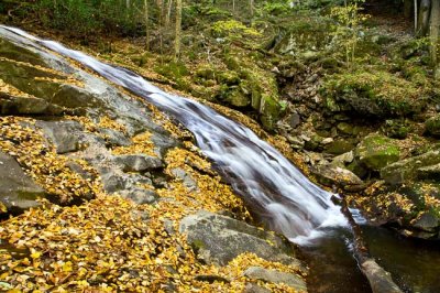 waterfall on Piney Mountain Creek 2