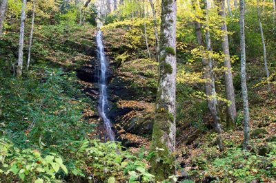 October 24 - waterfall on Little Fall Branch & Max Patch