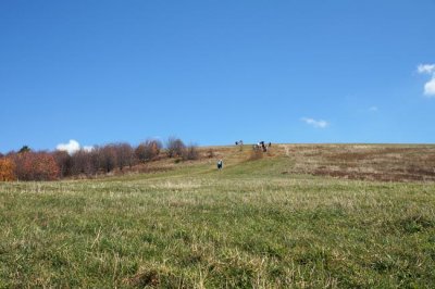 Max Patch Mountain 1