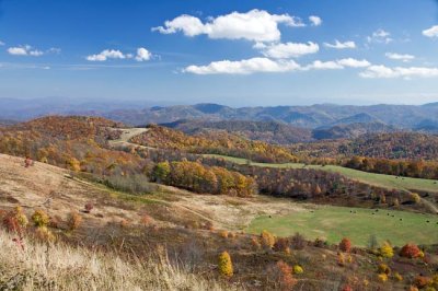 Max Patch Mountain 3