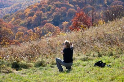 Max Patch Mountain 8