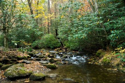 Cades Cove Day 2 - 10