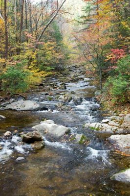 Cades Cove Day 2 - 16