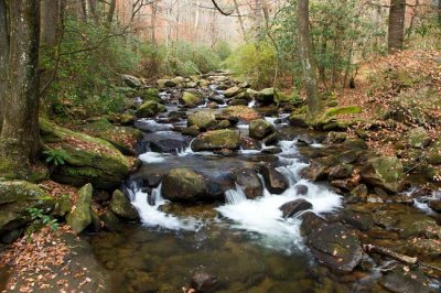 November 21 - Jones Gap State Park, SC