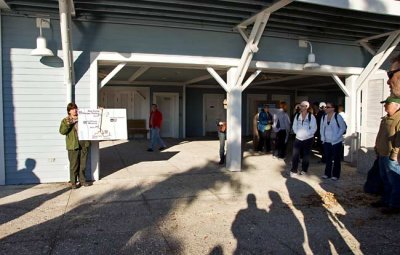 Cumberland Island 2