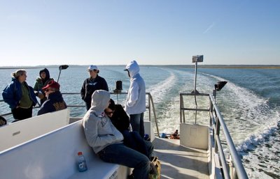 Cumberland Island 4