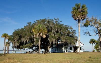 Cumberland Island 7