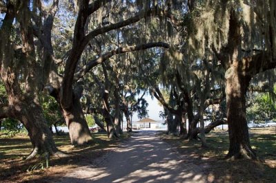 Cumberland Island 8