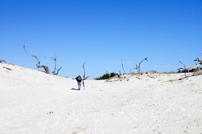 Cumberland Island 16