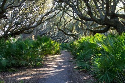 Cumberland Island 23