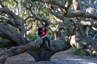 Cumberland Island 24