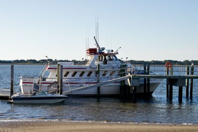 Cumberland Island 26