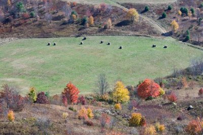 Max Patch Mountain 7