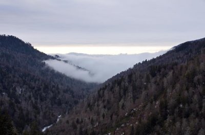 Newfound Gap View 1