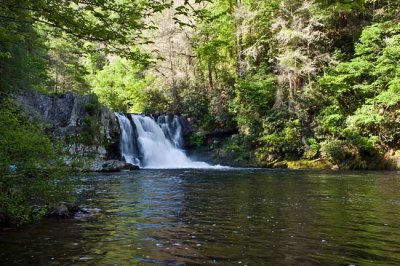 Abrams Falls 2