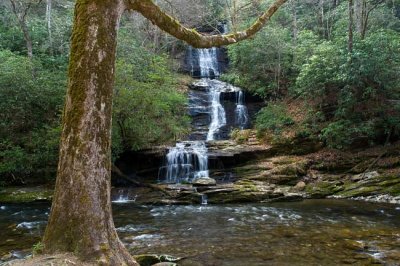 Tom Branch Falls 1