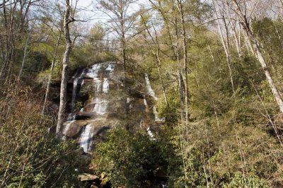 February 3 - Pisgah Forest