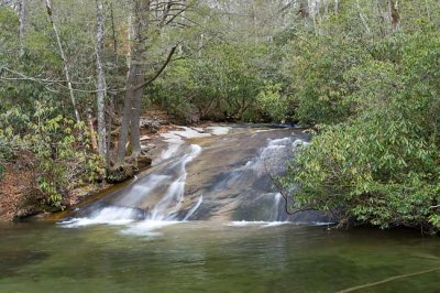 Cove Creek 1