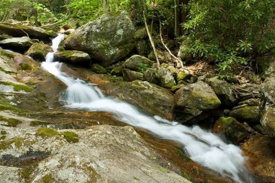 North Prong Shining Creek 3