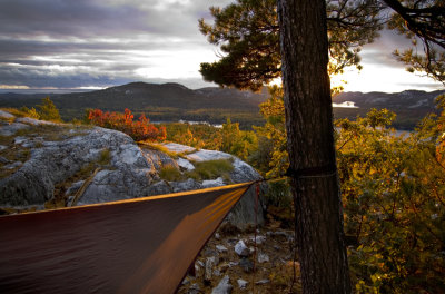 hammock vista.jpg