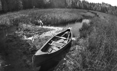 d2 beaver pond in narrows before BJ lake.jpg