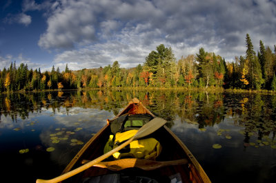 Algonquin PP / Fall view from canoe