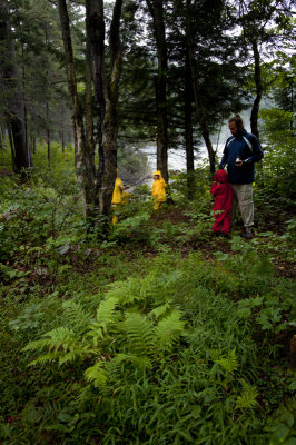 forest trek.jpg