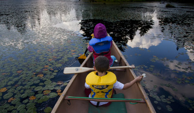 lilly paddle.jpg