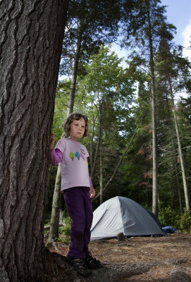 she speaks for the trees.jpg