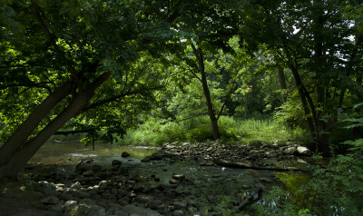 L park 1.jpg