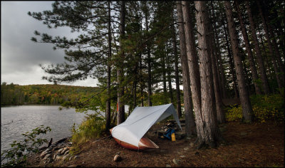 Burnt Island digs 2.jpg