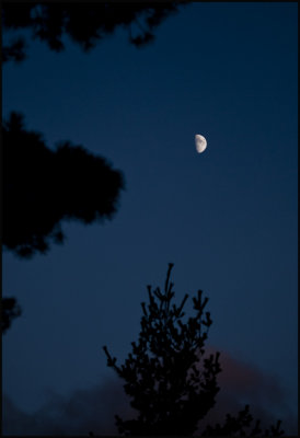 fat moon.jpg