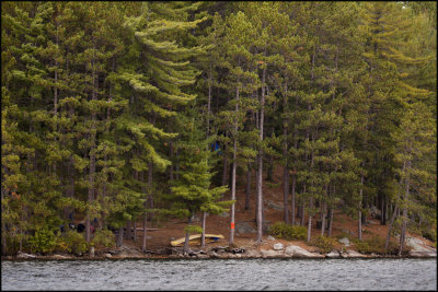 home in the pines.jpg