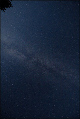 milky splash cosmos.jpg