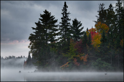 misty corner.jpg