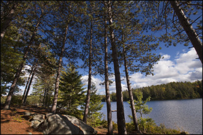 rear of island site on Sunbeam.jpg