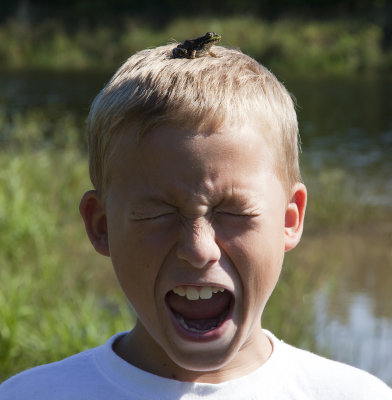 frog head.jpg
