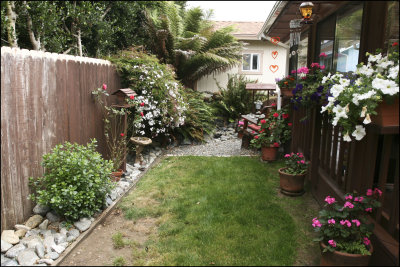 BackYard_toward East_8932.jpg