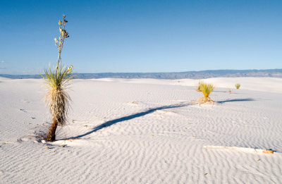 white sands nat mon_3 web.jpg