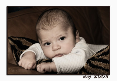 D_9972 aa sepiaV 4x6.jpg