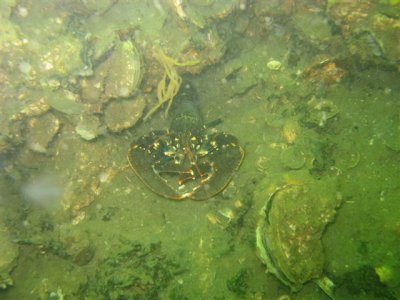 image014.jpg